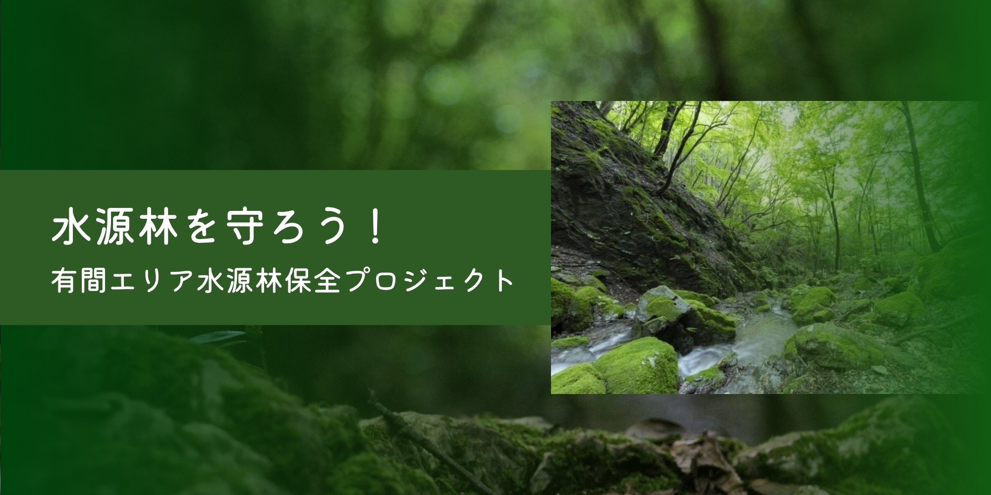 水源林を守ろう!有間エリア水源林保全プロジェクト